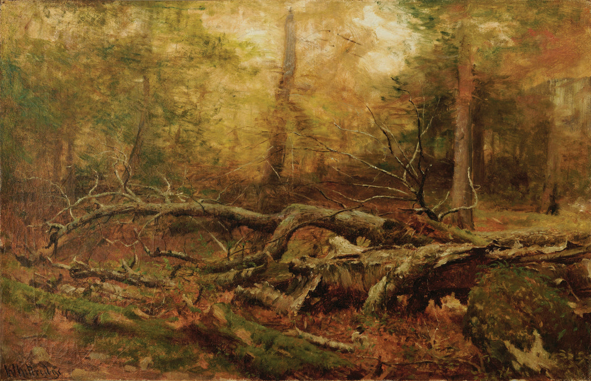 WHITTREDGE, Worthington (1820-1910), Study in the Forest
