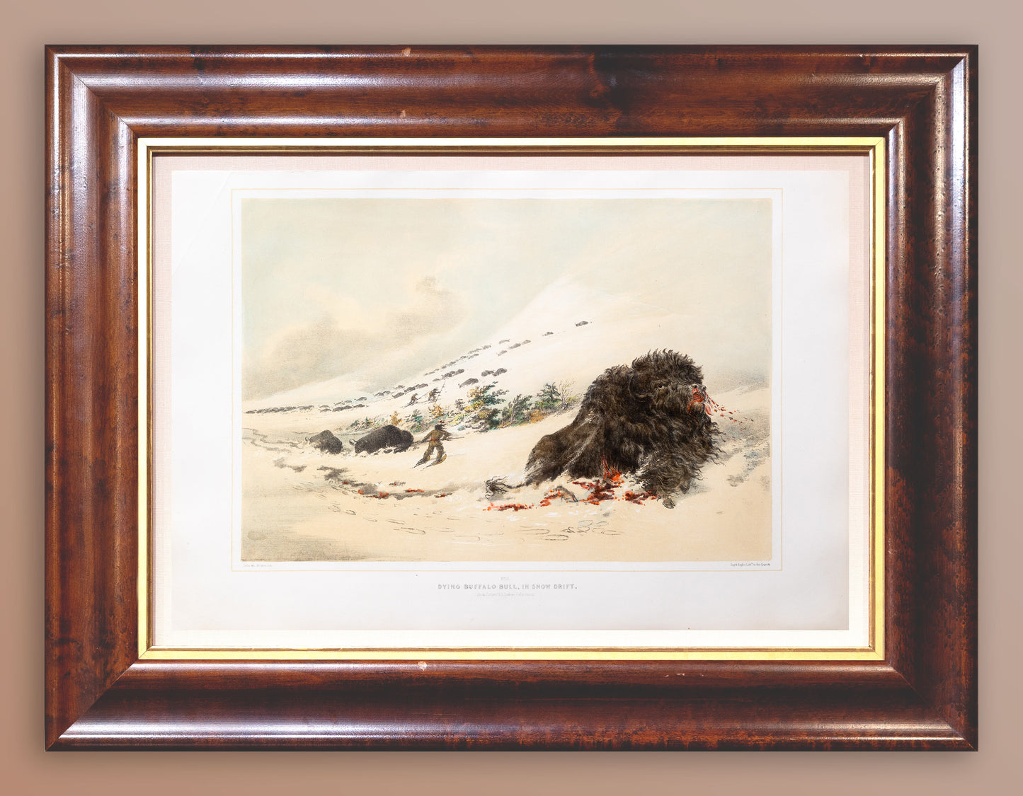 George Catlin (1794-1872), North American Indian 17 Dying Buffalo Bull in Snow Drift