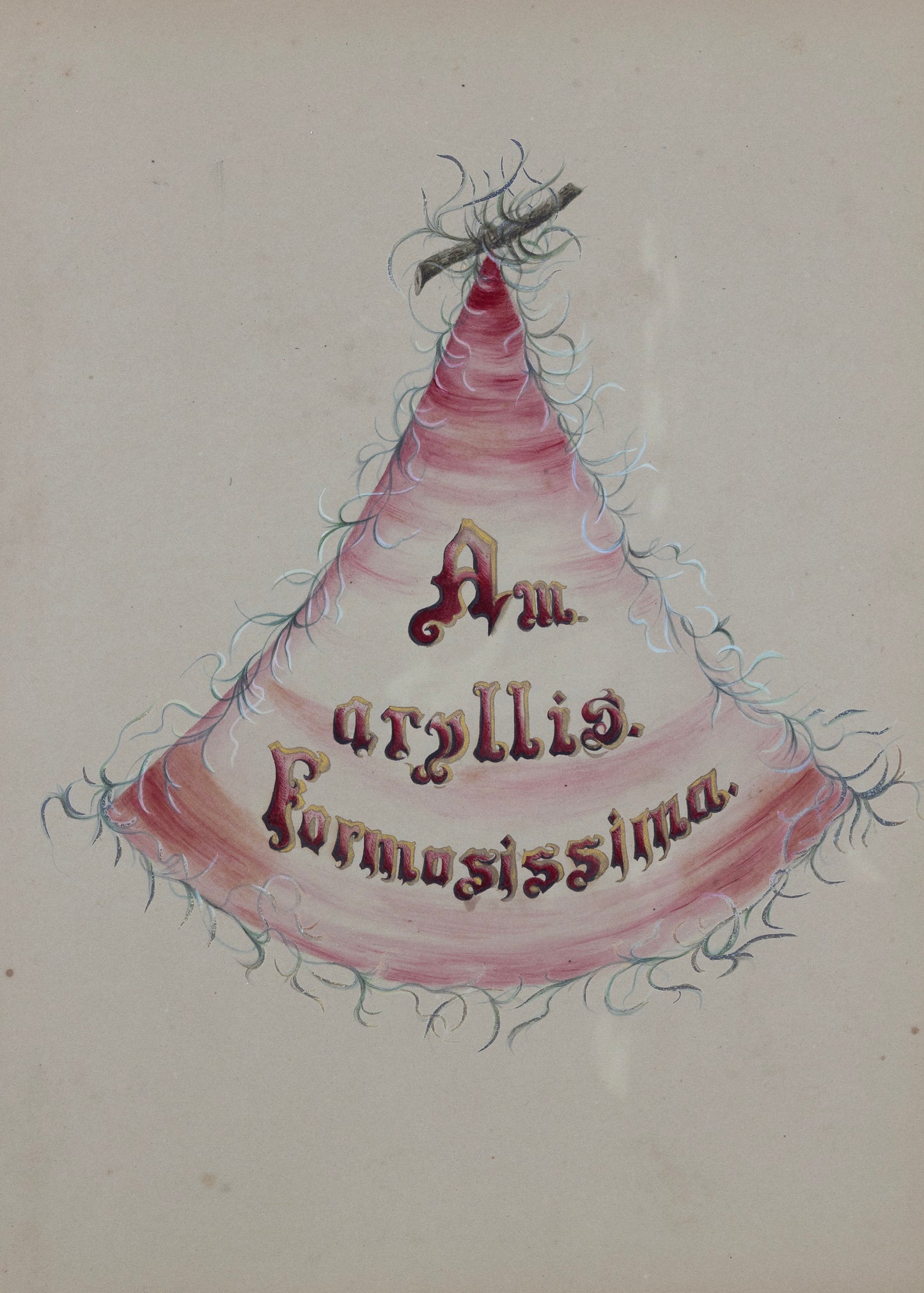 Deborah Gillingham. Amaryllis Formosissima. 1870.