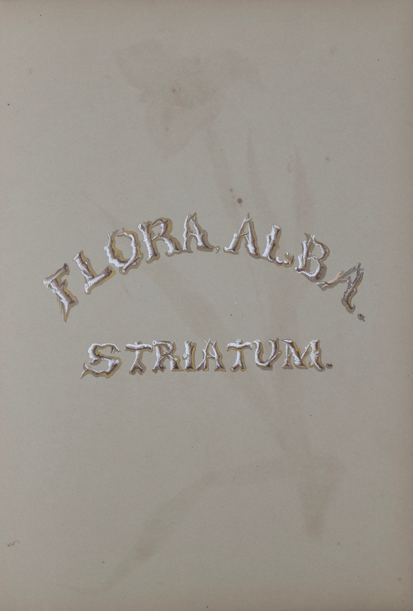 Deborah Gillingham. Flora, Alba Striatum. 1870.