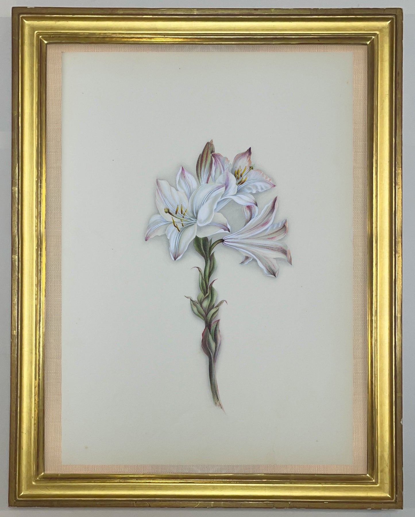 Deborah Gillingham. Flora, Alba Striatum. 1870.