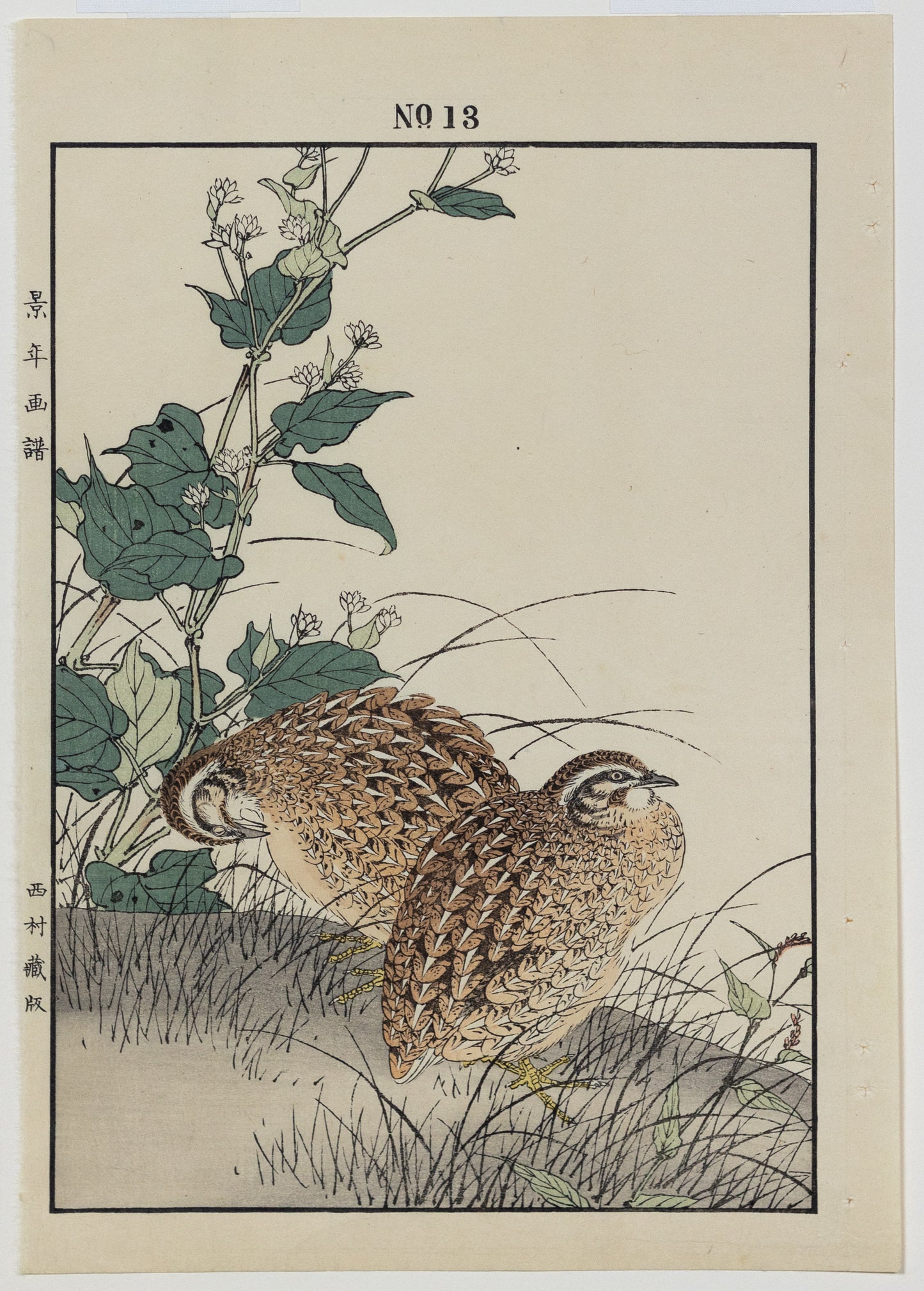 IMAO, Keinen (1845 -1924) Quail, Saggitarius, No. 13 (Autumn)