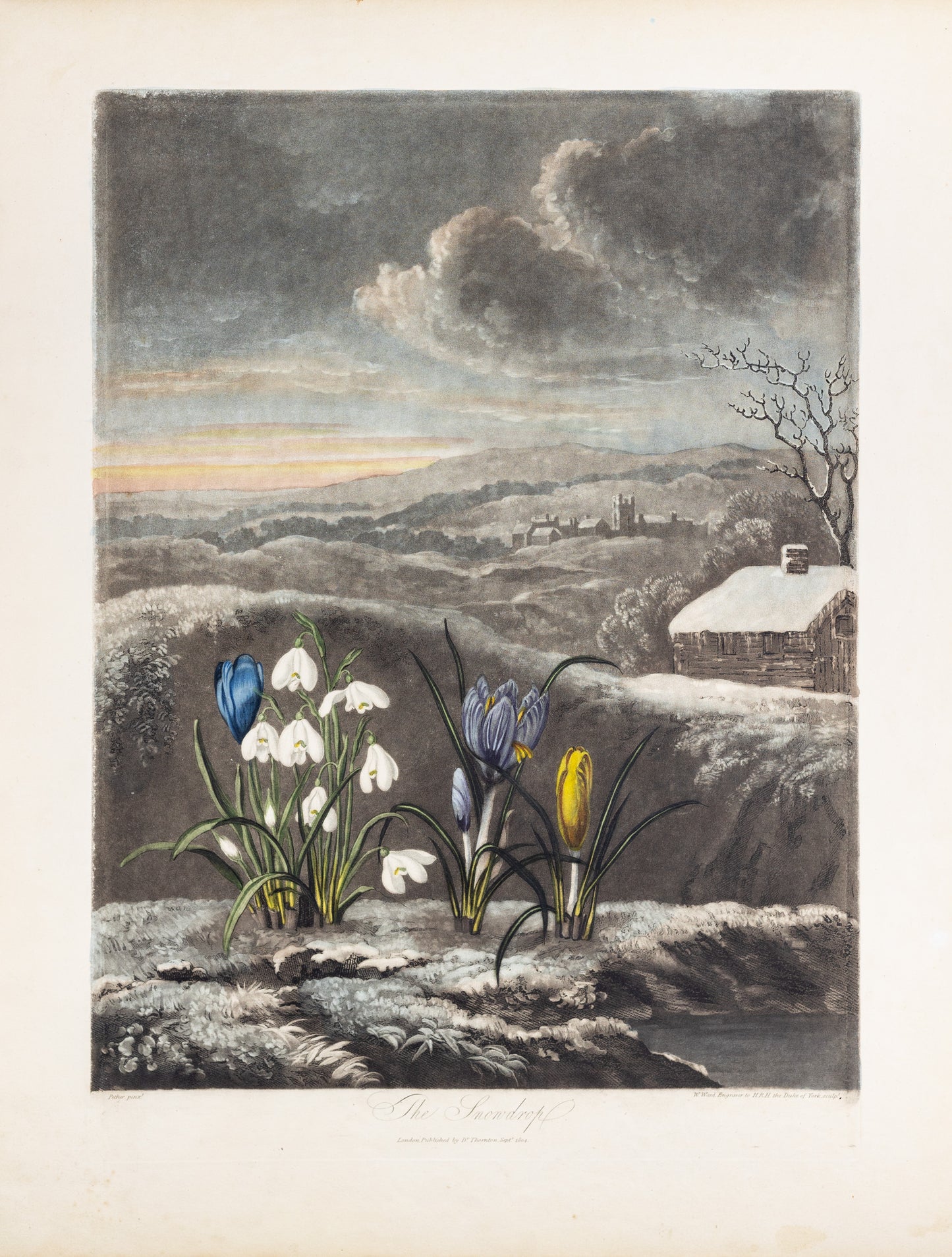 THORNTON, Dr Robert John (c. 1765-1832). Pl. 3, The Snowdrop