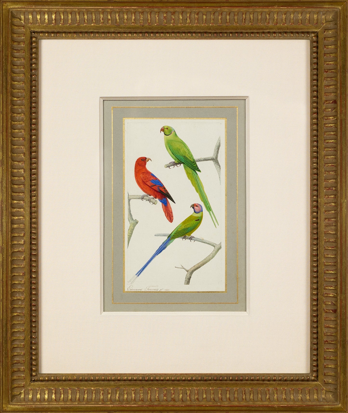 EDOUARD TRAVIES (FRENCH, 1809 - 1870) Parakeet Study