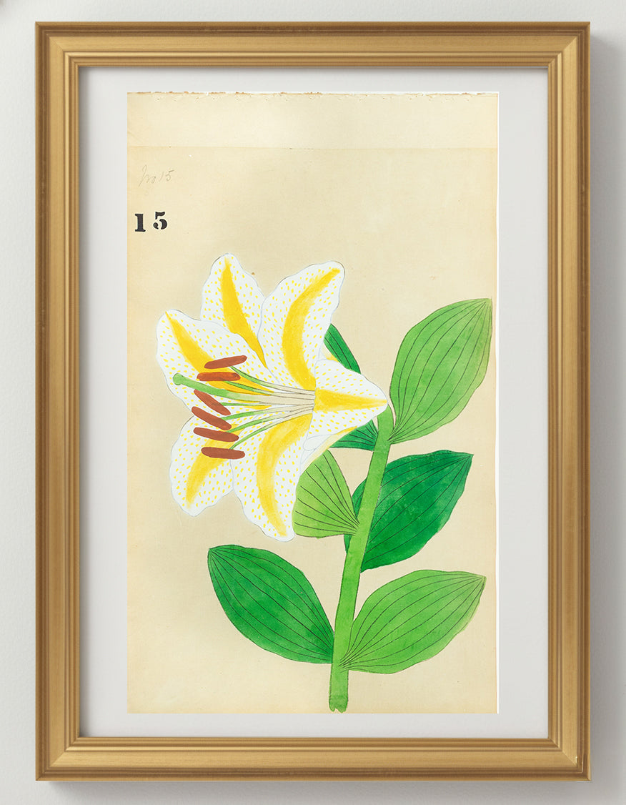 JAPANESE (Late 19th Century) - Lilies 15