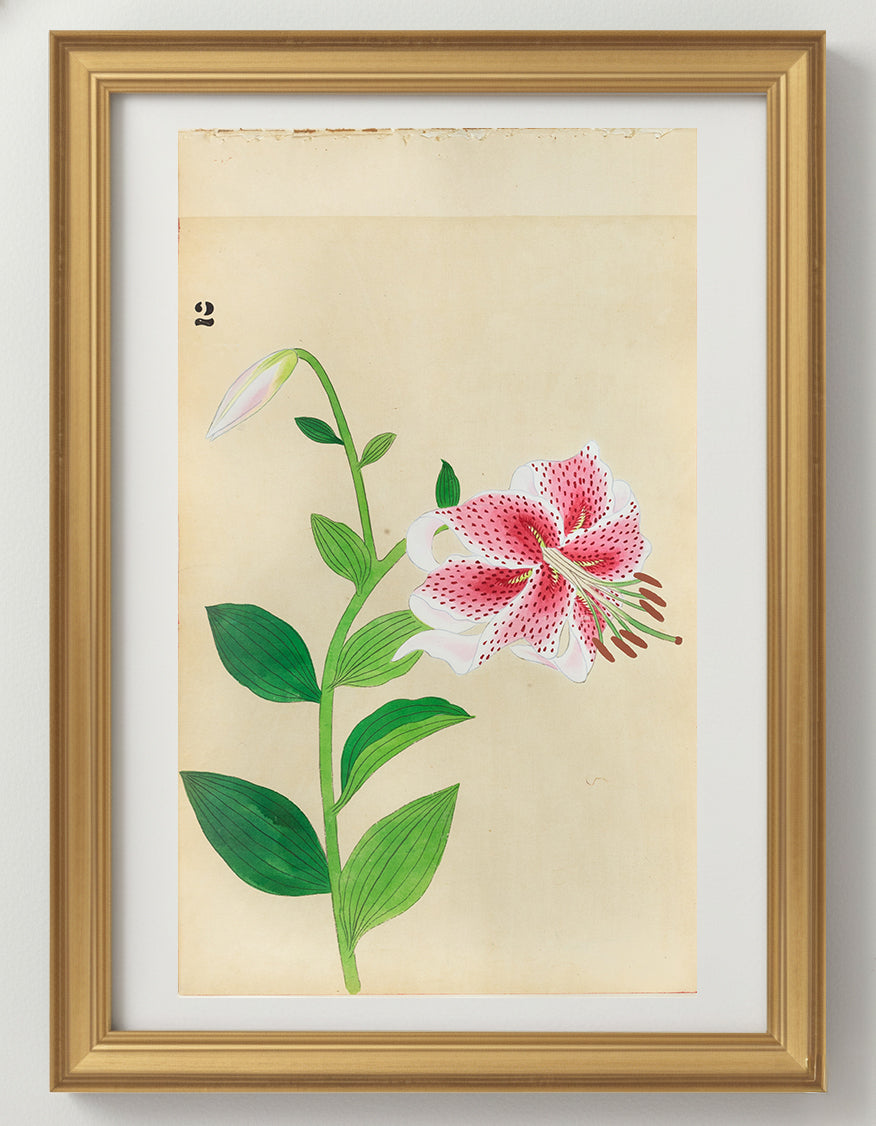 JAPANESE (Late 19th Century) - Lilies 2