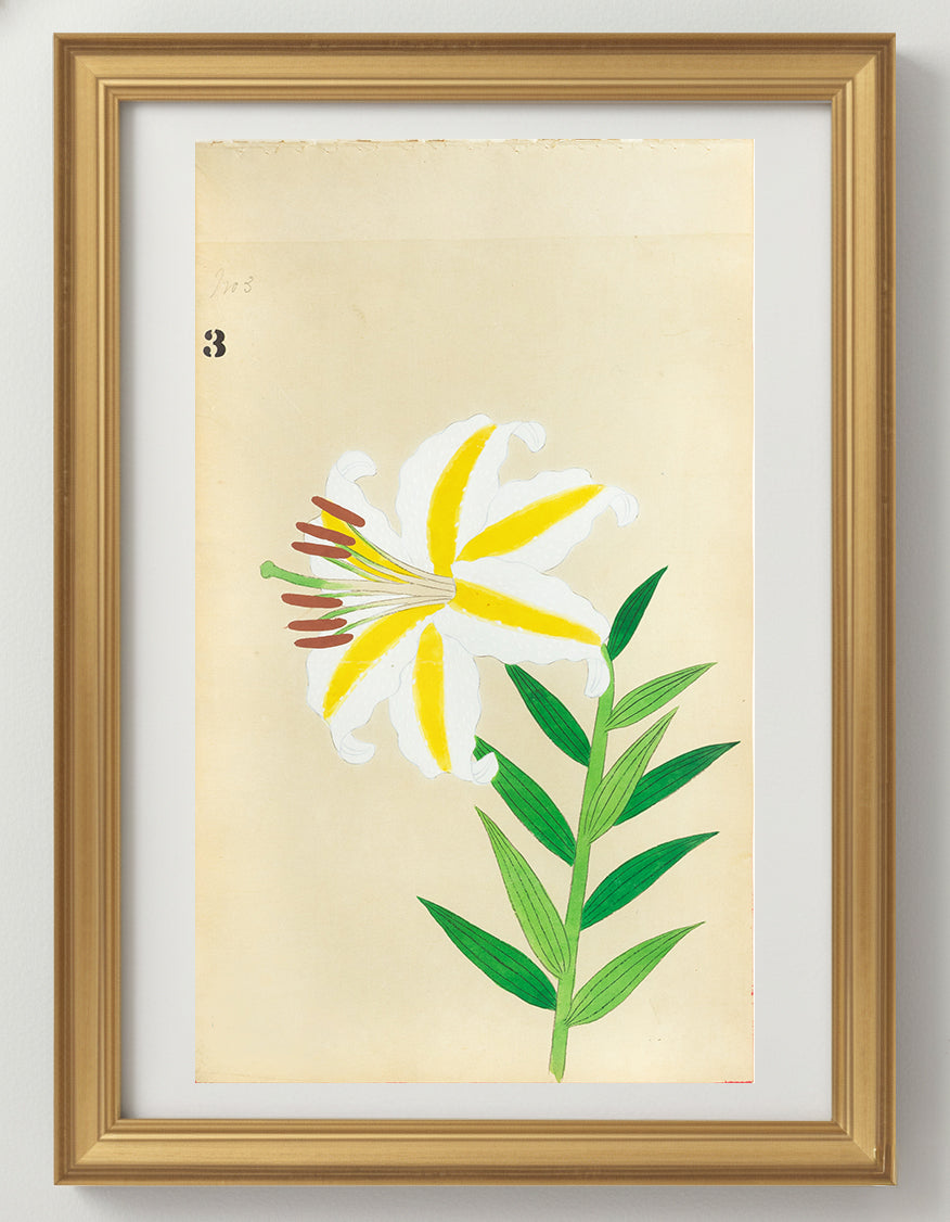 JAPANESE (Late 19th Century) - Lilies 3