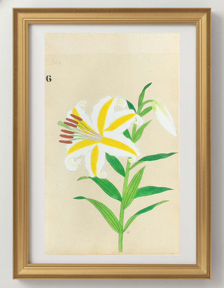 JAPANESE (Late 19th Century) - Lilies 6