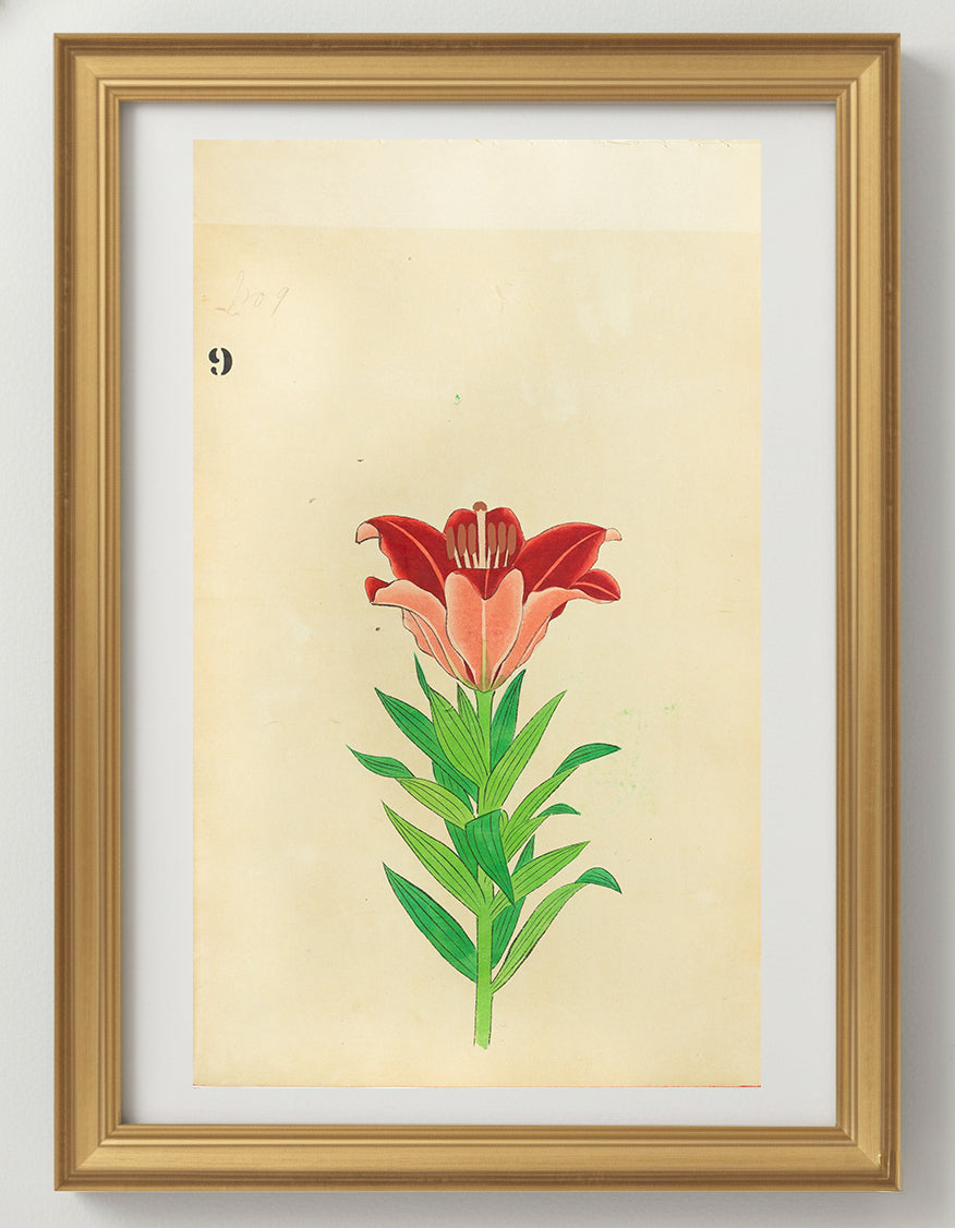 JAPANESE (Late 19th Century) - Lilies 9