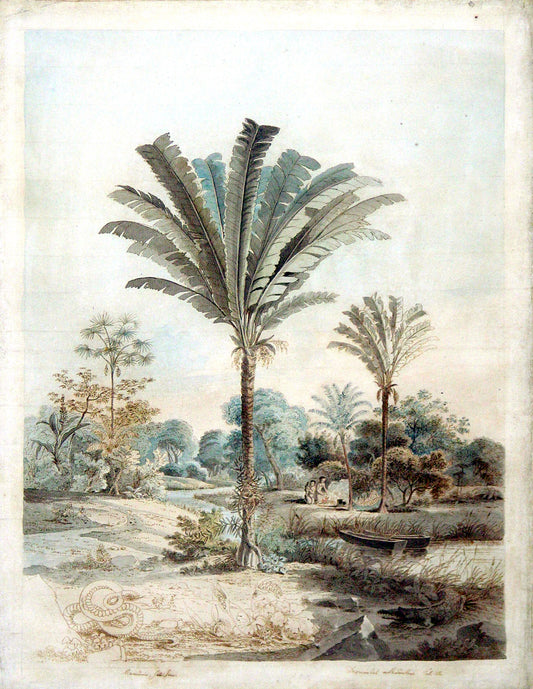 CARL FRIEDRICH PHILIPP VON MARTIUS (1794-1868) AND JOHANN MORITZ RUGENDAS (1802-1858) A Brazilian landscape with Indians encamped under palms by a river, a snake and crocodile in the foreground
