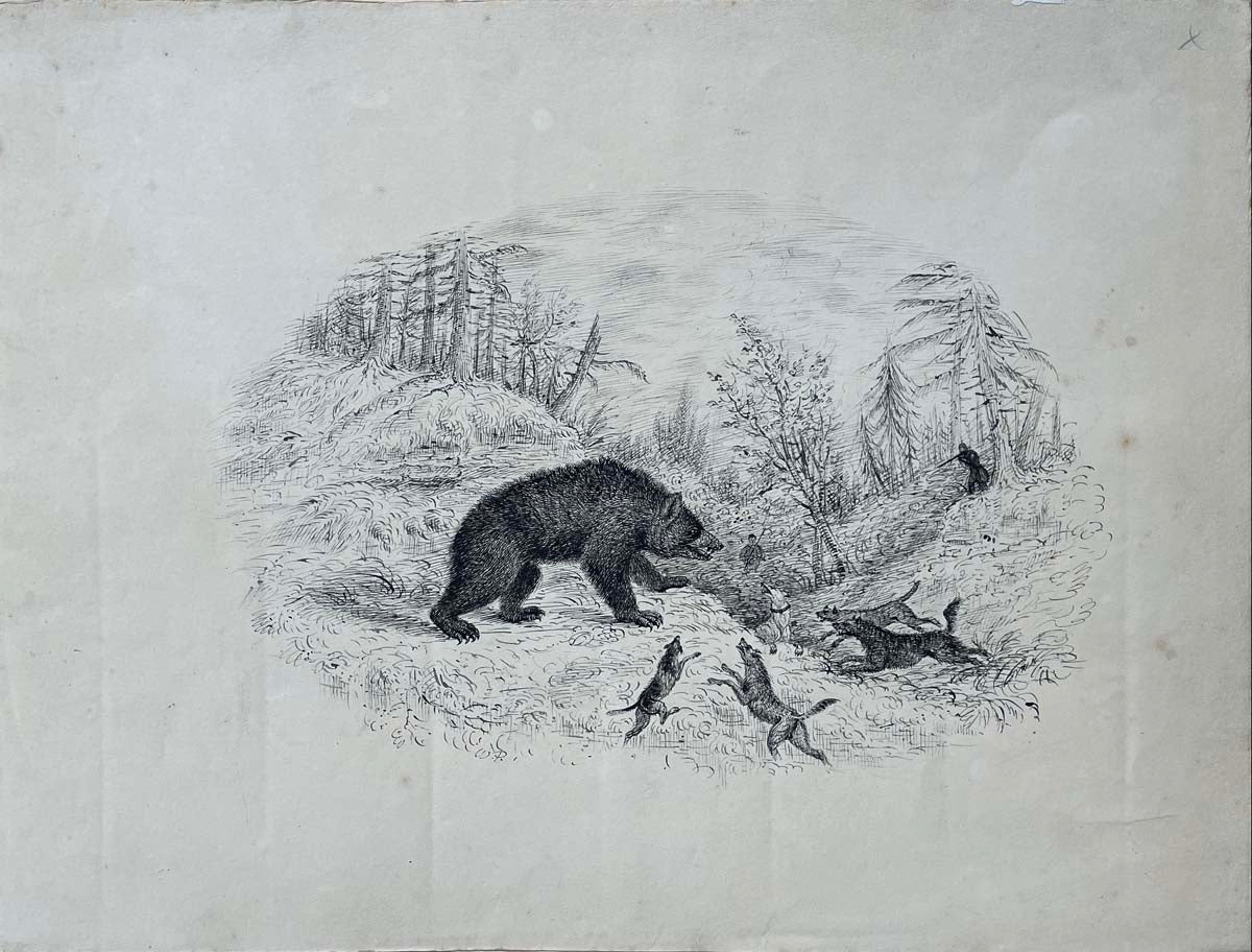 Bear Hunting