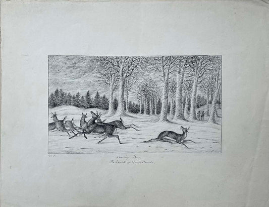 Shooting Deer, Backwoods of Upper Canada