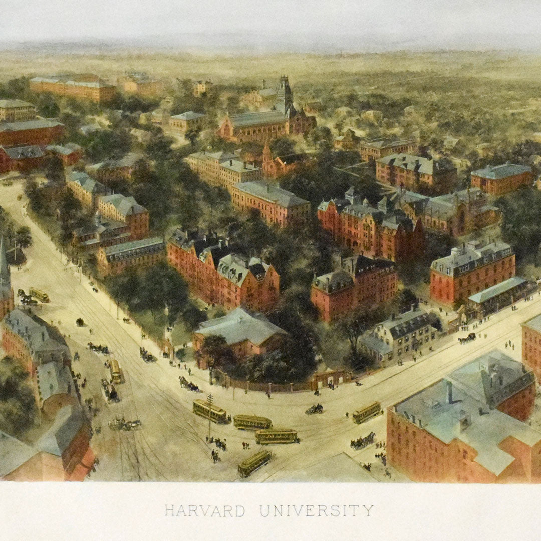 Harvard University