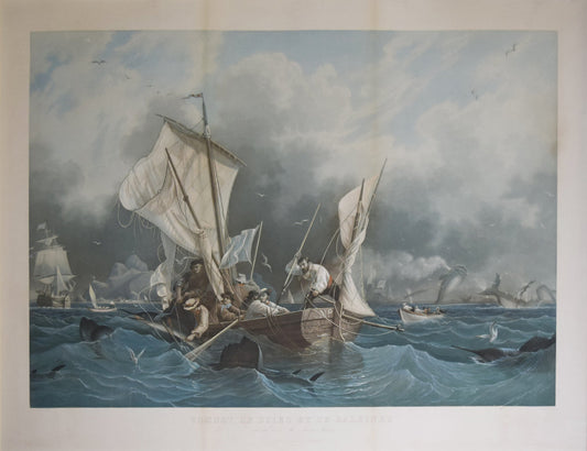 GARNERAY, Ambroise Louis (French, 1783-1857), after, Combat de Scies et de Baleines (Whaling Scene)