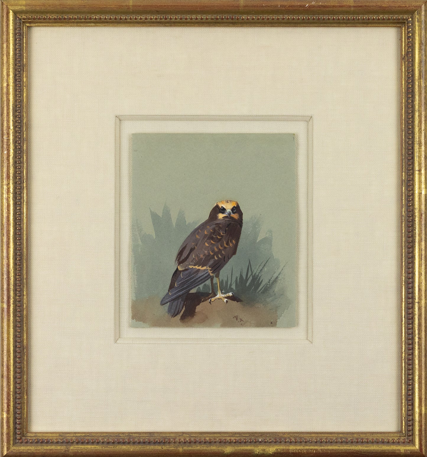 THORBURN, Archibald (British, 1860-1935). Bird of Prey.