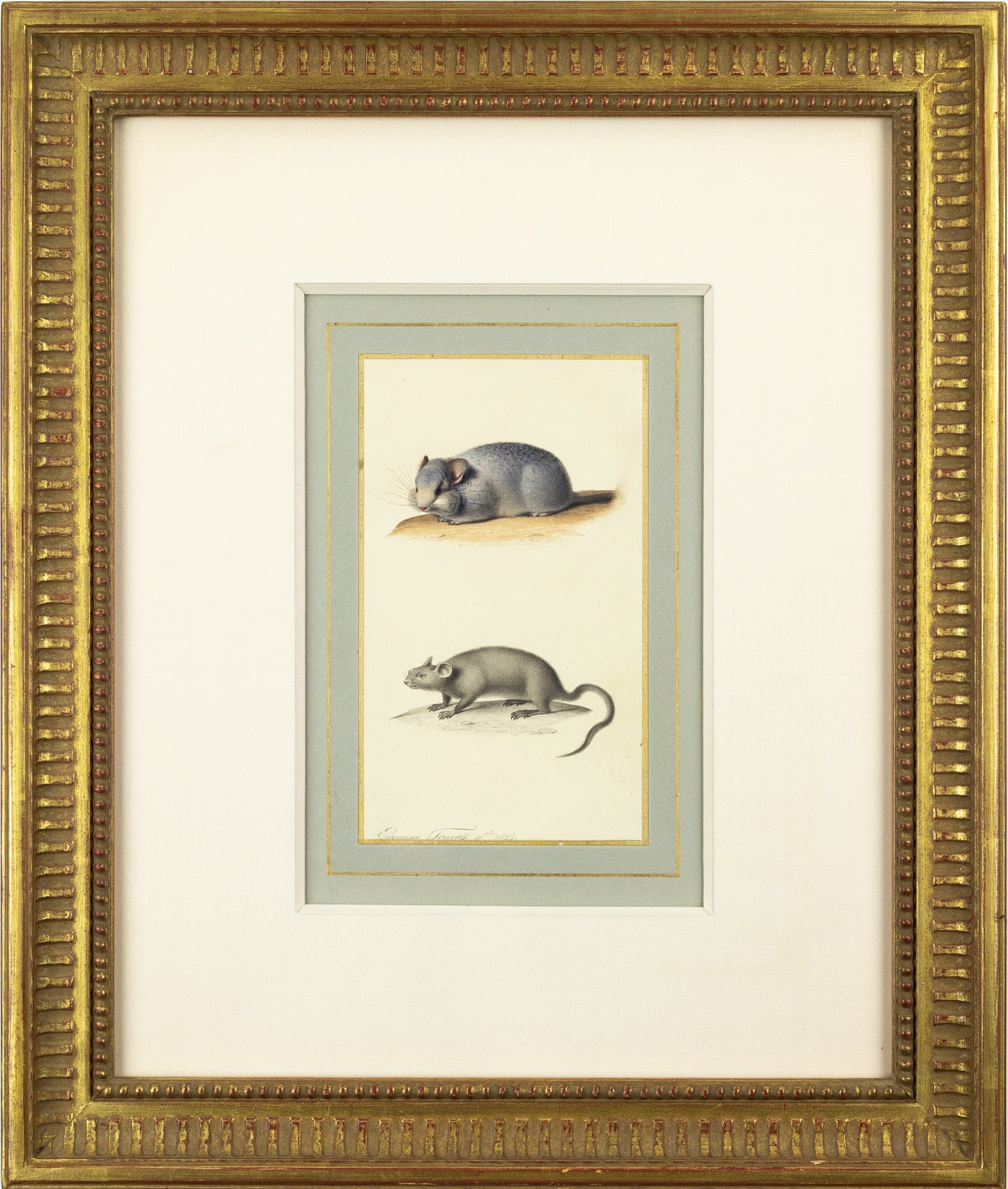 TRAVIES, Edouard (French, 1809-1870). Two Mice.