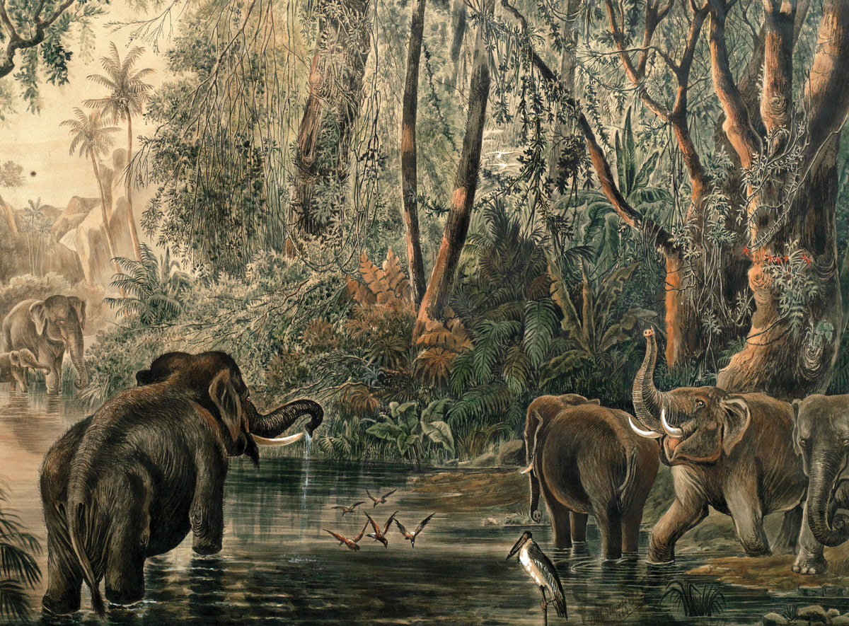 STAINES, P.H. (British, 19th Century), Elephants [Asian] Watering
