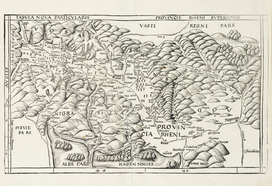 Waldseemuller, Martin. Tabula Nova Particularis Provincie Rheni Superioris. Strasbourg, 1513.