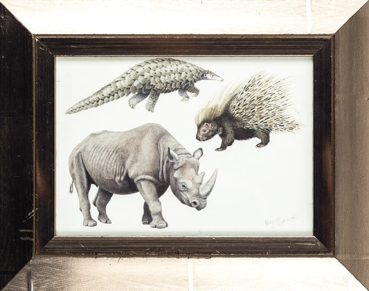 BARRETT, Peter (British, b. 1935). Pangolin, Porcupine and Rhino