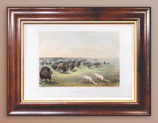 George Catlin (1794-1872), North American Indian 13 Buffalo Hunt, under the white wolf skin