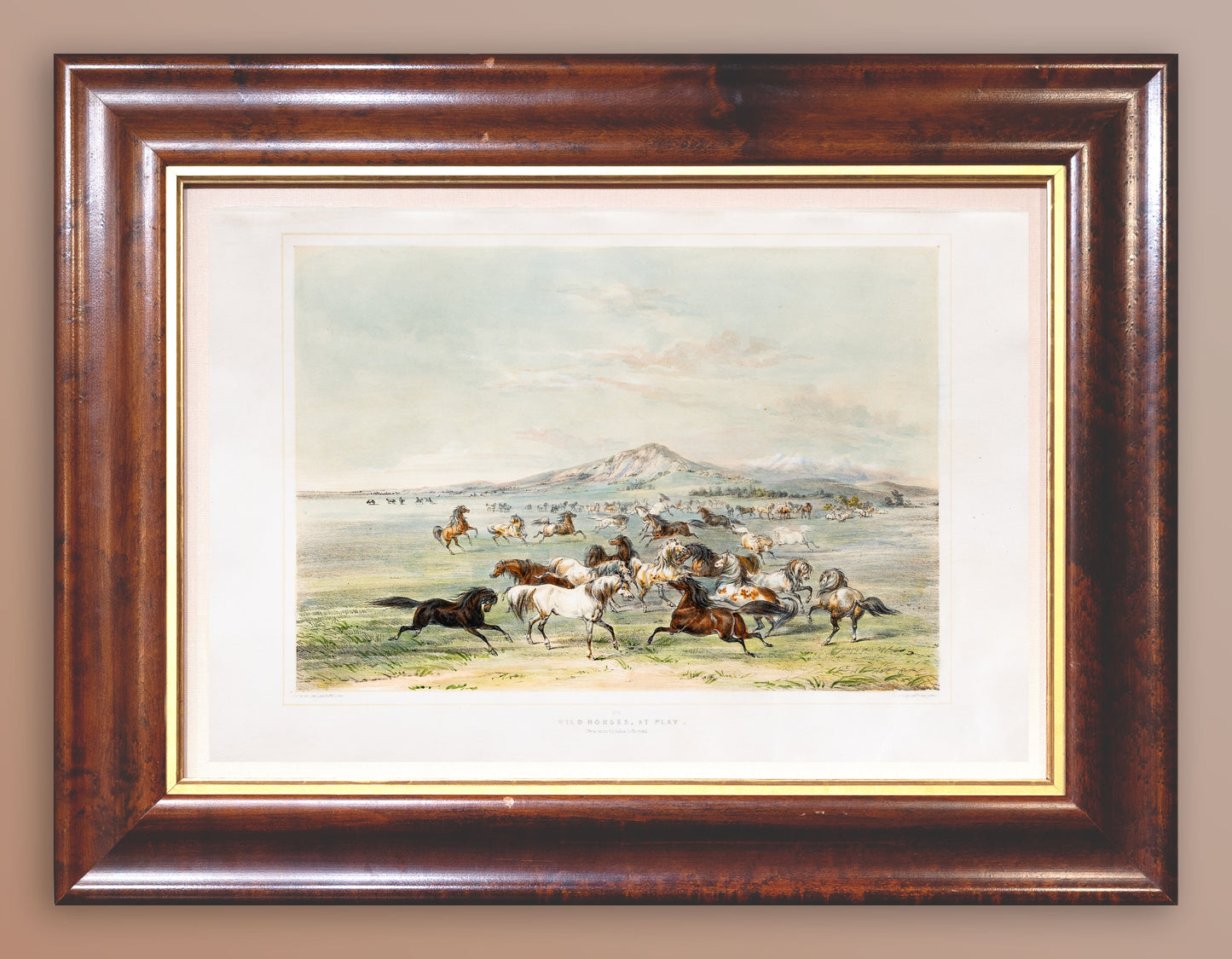 George Catlin (1794-1872), North American Indian 3 Wild Horses at Play