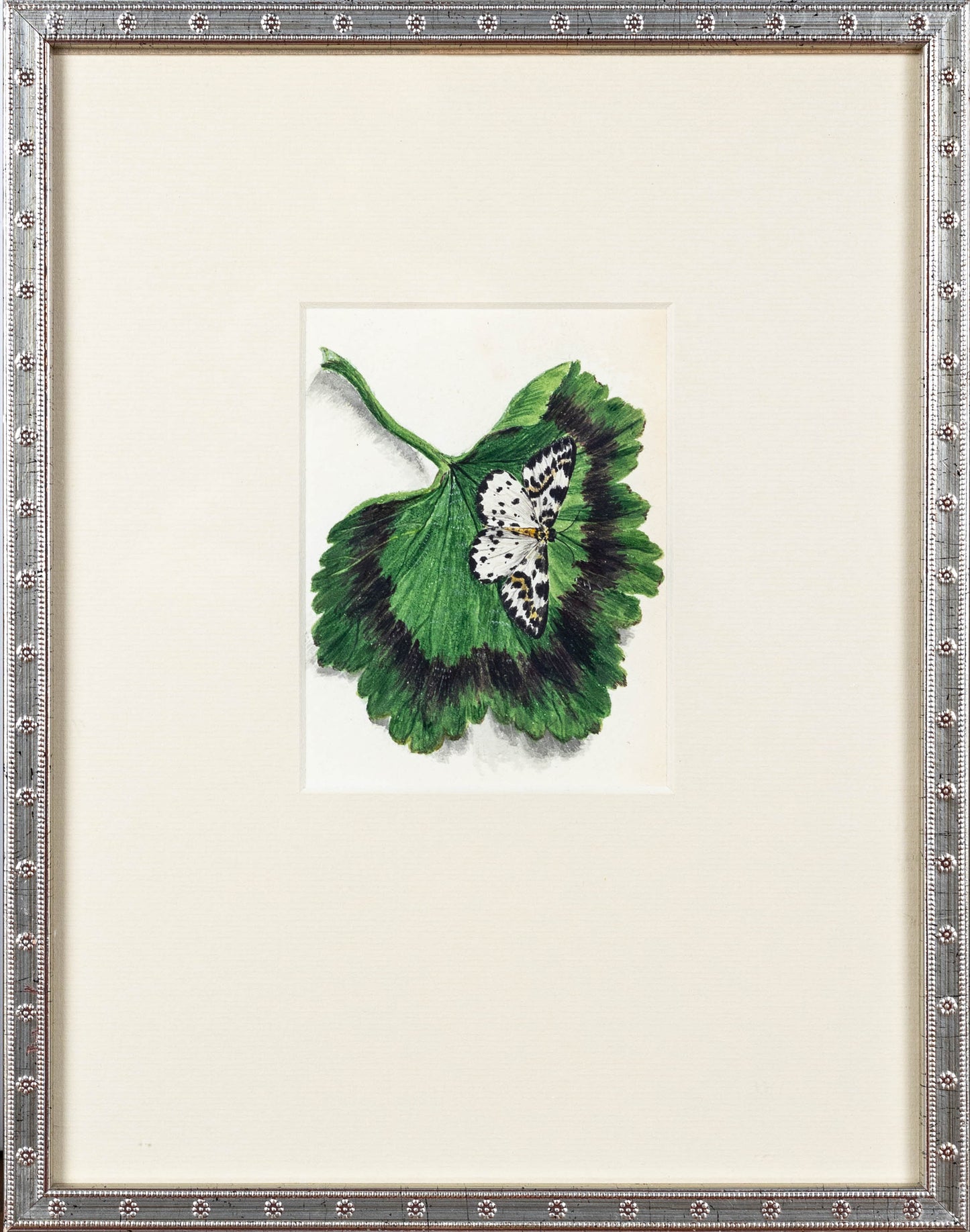 BRITISH, 19TH Century. [Insect Studies]. Ca. 1820