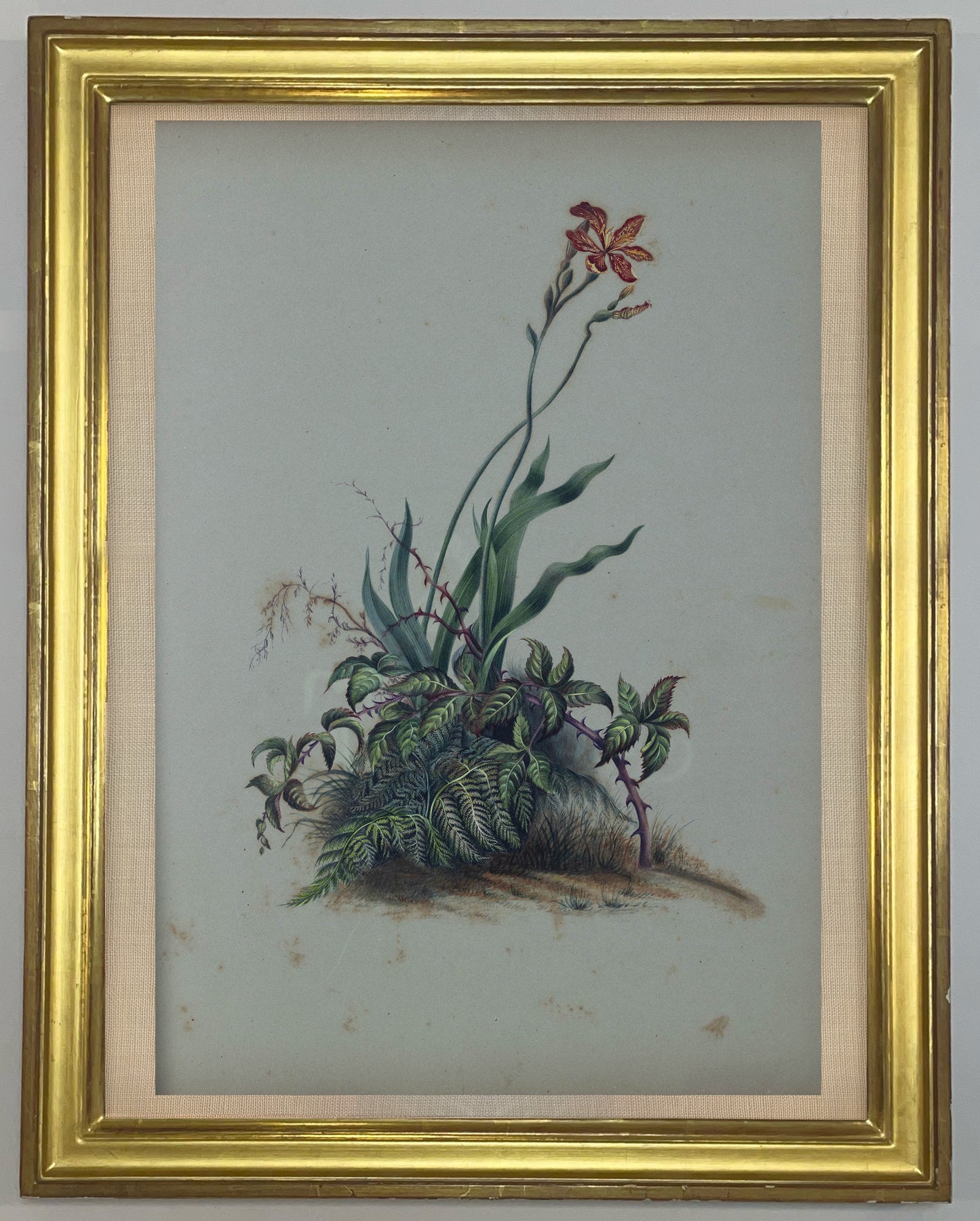 Deborah Gillingham. As a Lily Among Thorns. 1870.