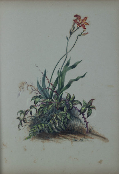 Deborah Gillingham. As a Lily Among Thorns. 1870.