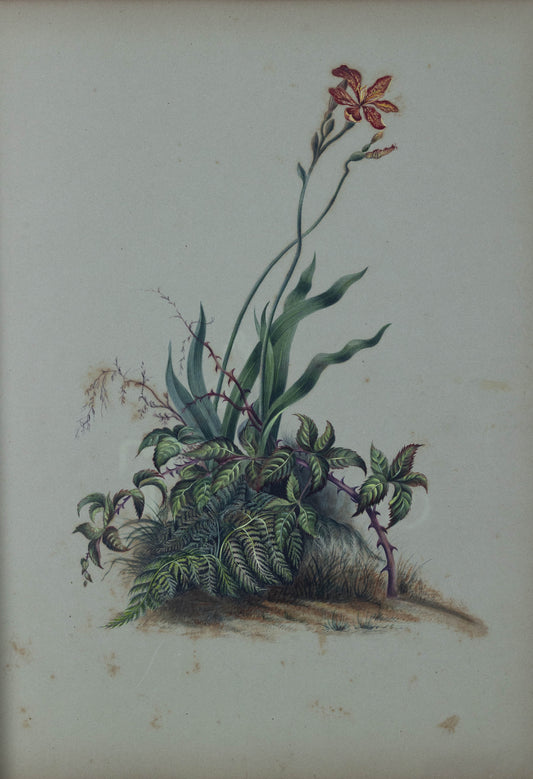 Deborah Gillingham. As a Lily Among Thorns. 1870.