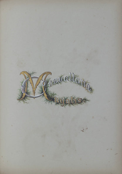 Deborah Gillingham. Conuallaria Mayalis. 1870.