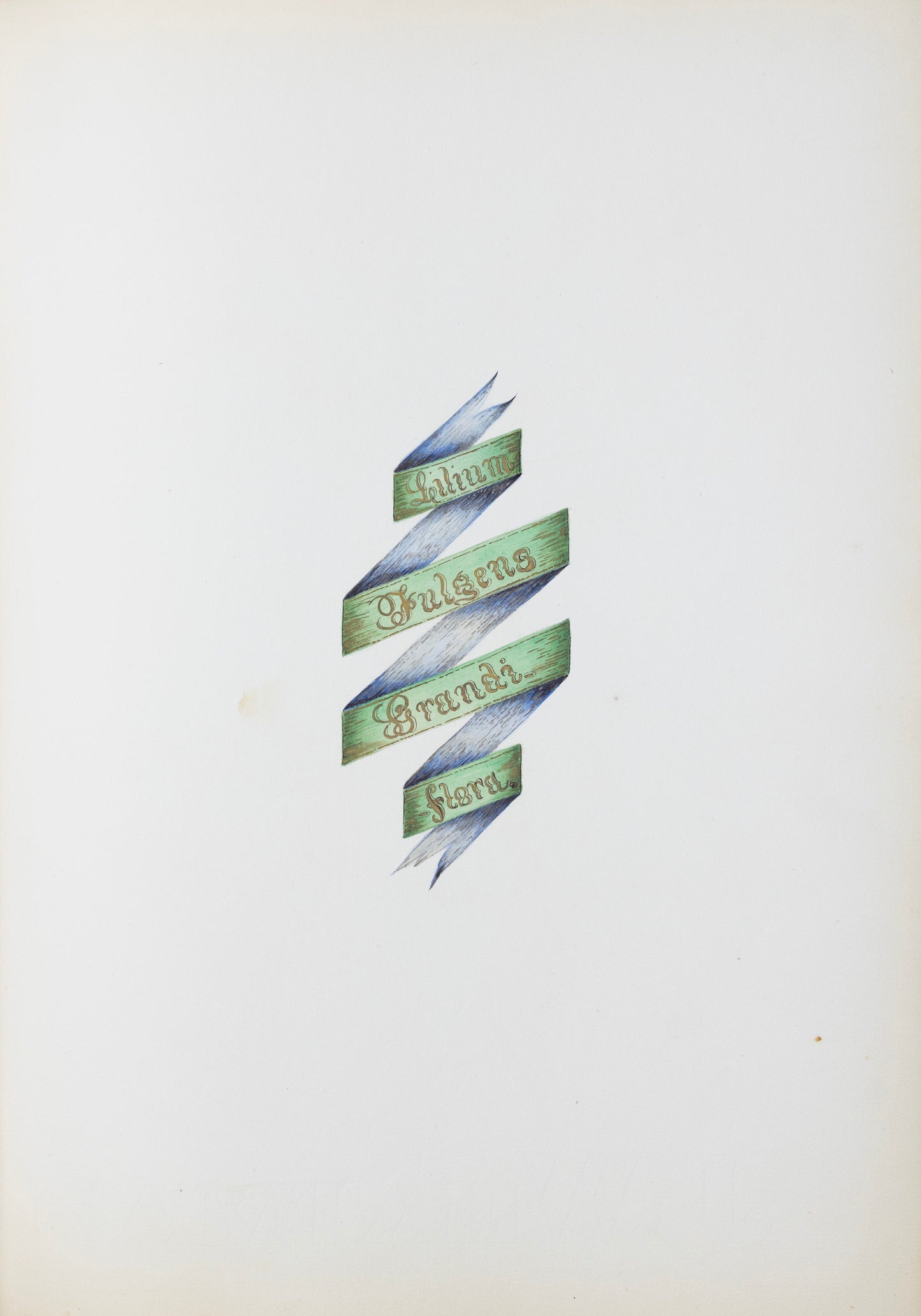 Deborah Gillingham. Lilium Fulgens Grandiflora. 1870.