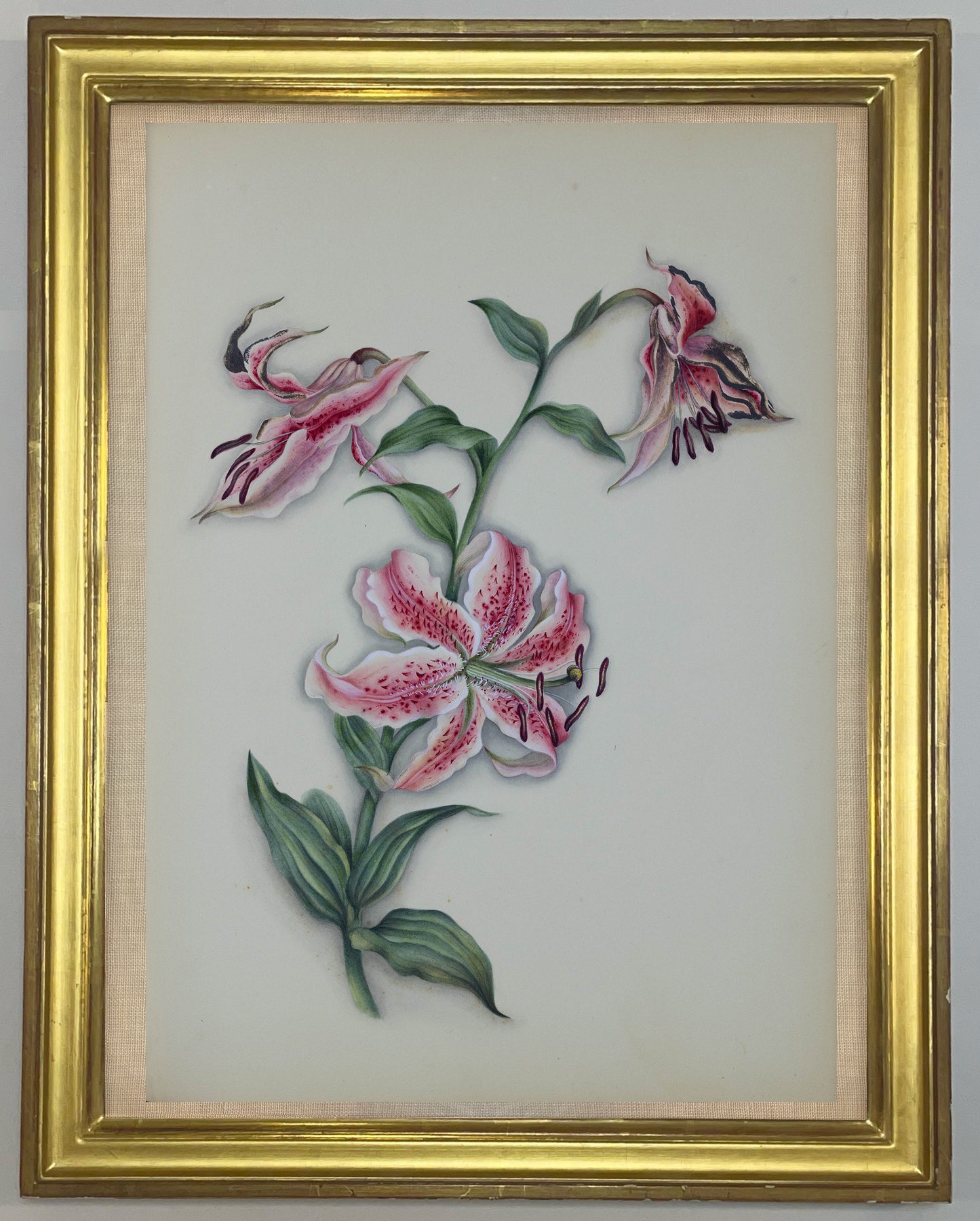 Deborah Gillingham. Lilium Rubrum. 1870.