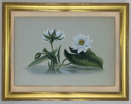 Deborah Gillingham. Lotus. 1870.