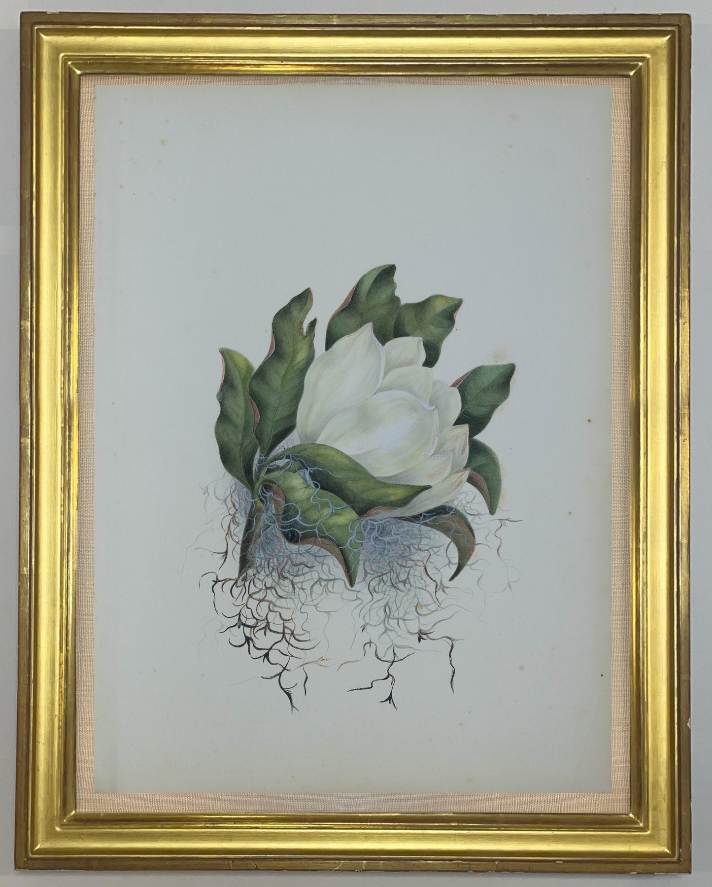 Deborah Gillingham. M Grandiflora. 1870.