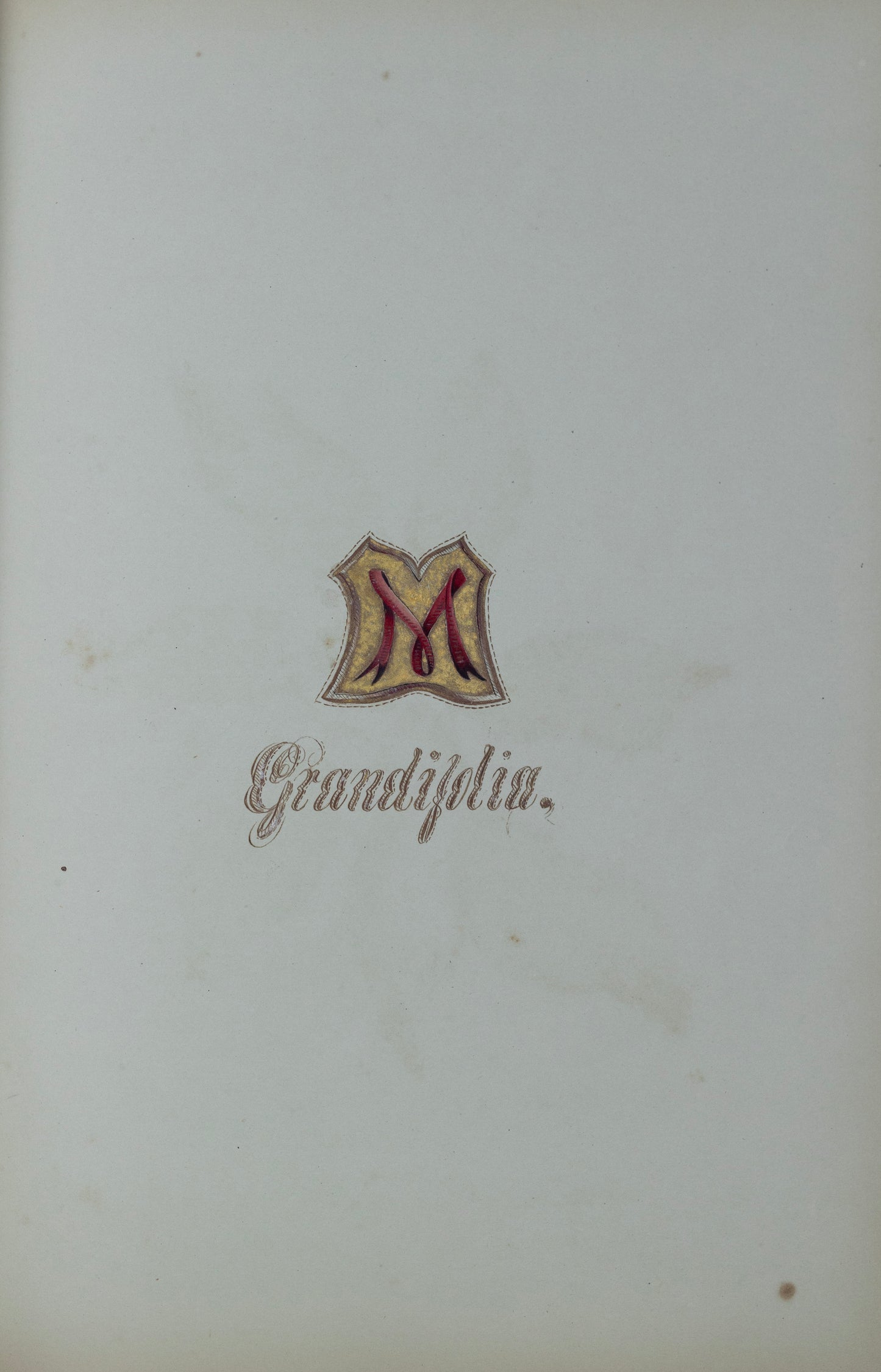 Deborah Gillingham. M Grandifolia. 1870.