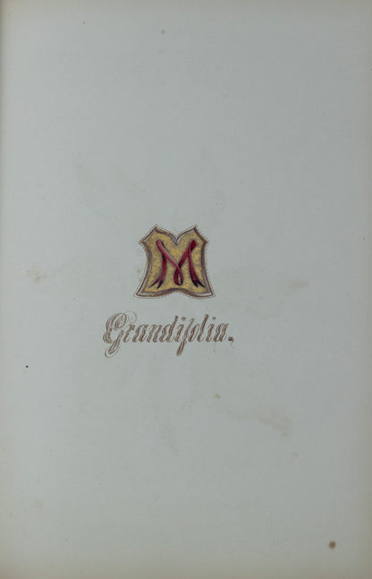 Deborah Gillingham. M Grandifolia. 1870.