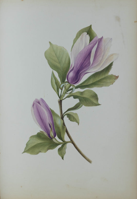 Deborah Gillingham. M Purpura. 1870.