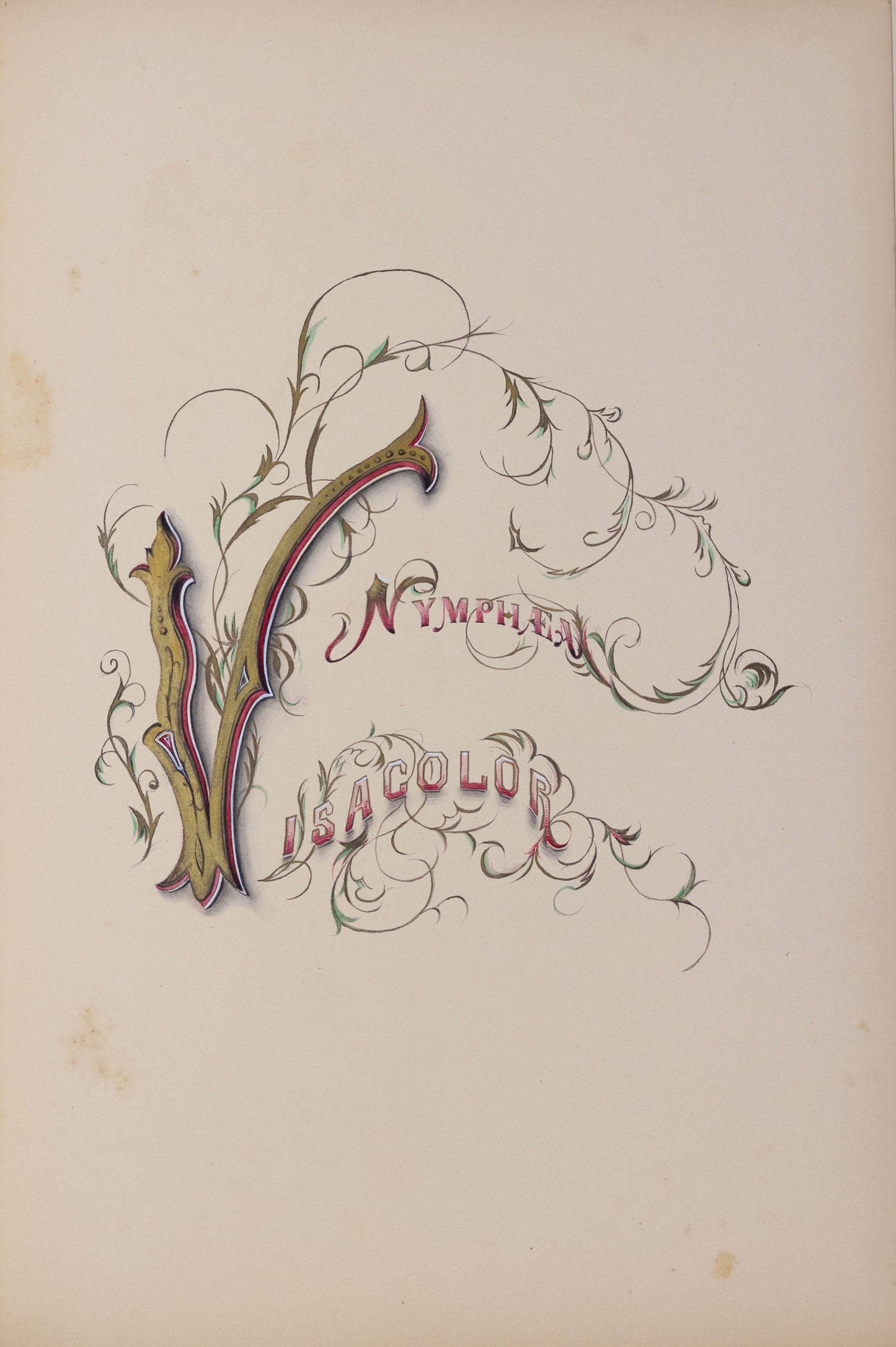 Deborah Gillingham. Nymphaea Visacolor. 1870.