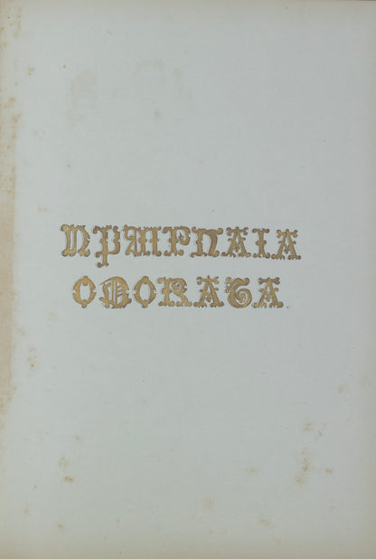 Deborah Gillingham. Nymphaia Odorata. 1870.