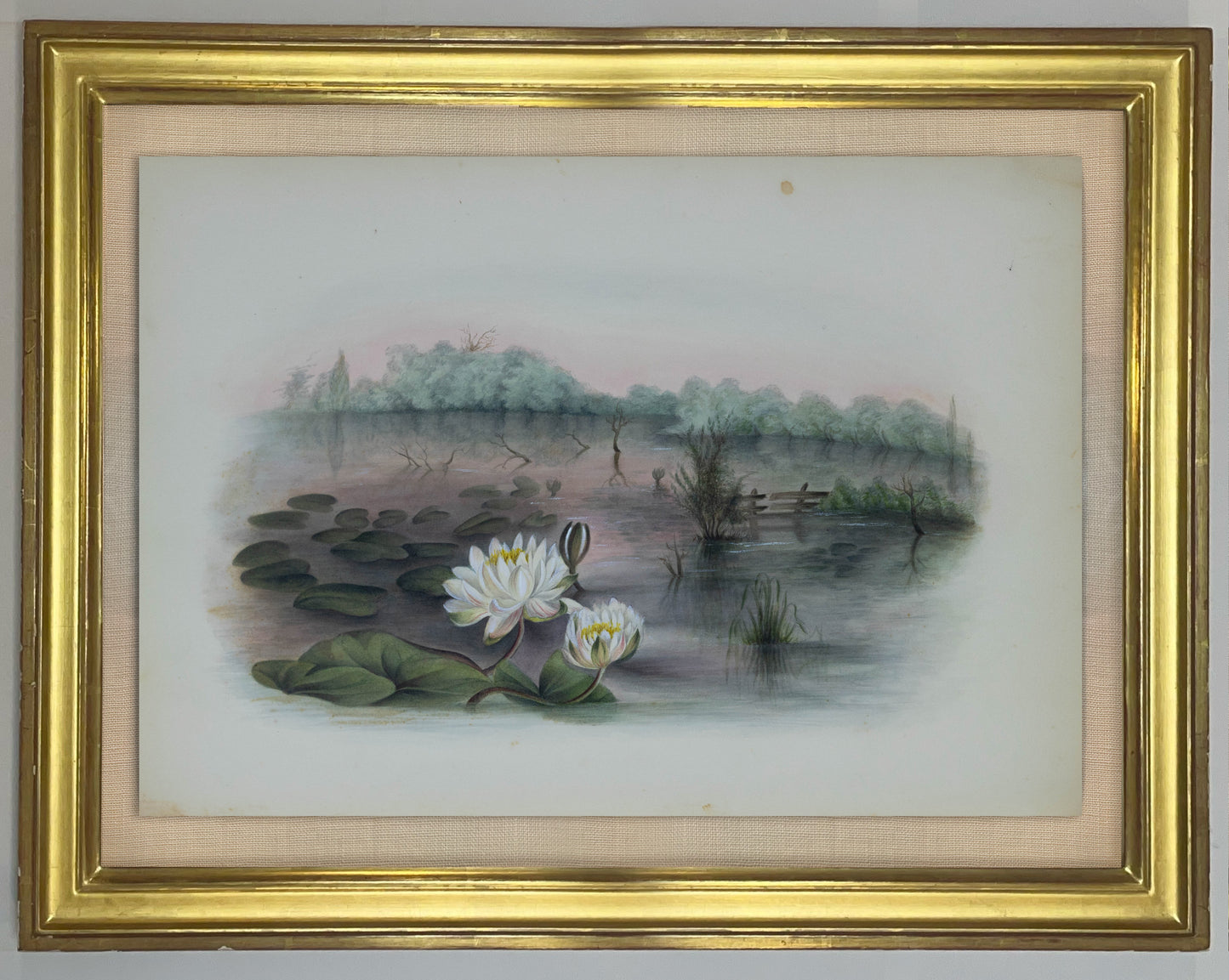 Deborah Gillingham. Nymphaia Odorata. 1870.