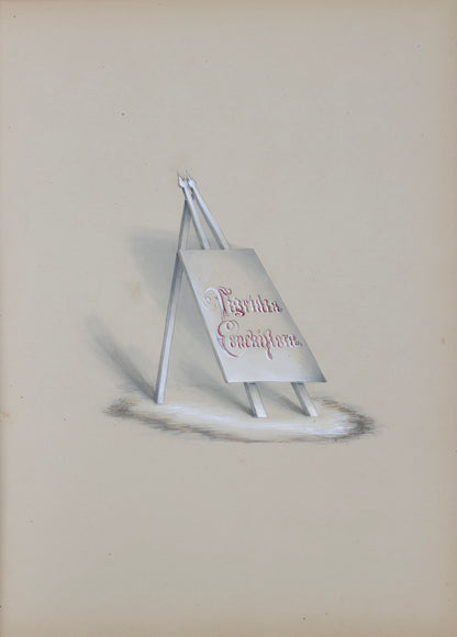 Deborah Gillingham. Tigrida Pavonia. 1870.