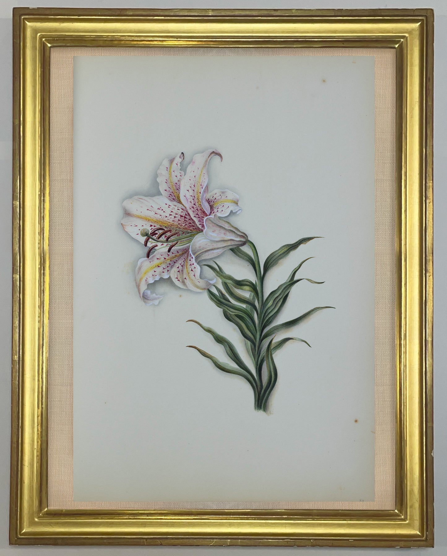 Deborah Gillingham. Lillium Auratum. 1870.