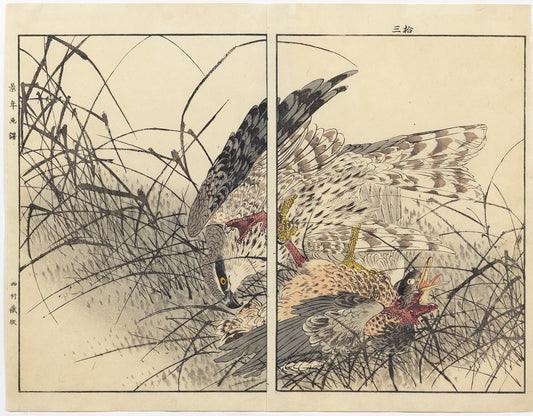 IMAO, Keinen (1845 -1924 ) Goshawk Hunting No. 30 (Winter)