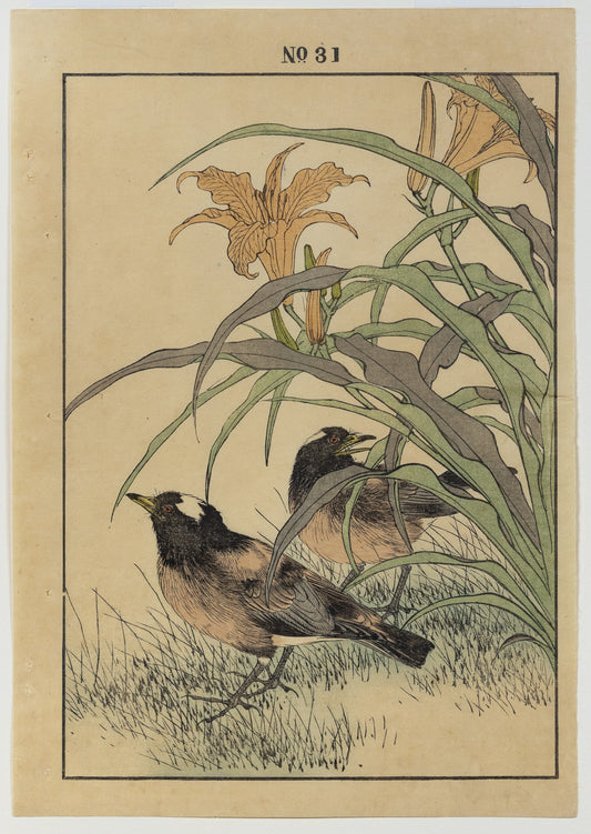 IMAO, Keinen (1845 -1924) Starling, Day Lily, No. 31 (Spring)