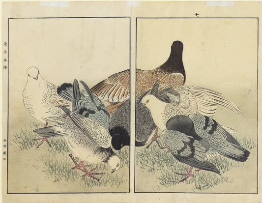 IMAO, Keinen (1845 -1924 ) Pigeons, No. 7 (Autumn)