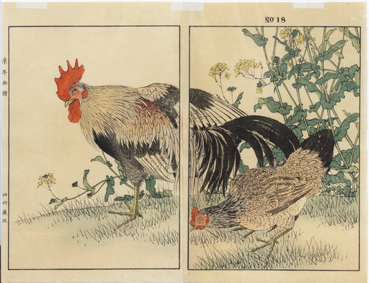 IMAO, Keinen (1845 -1924) Rooster, Hen, Canola, No. 18 (Spring)