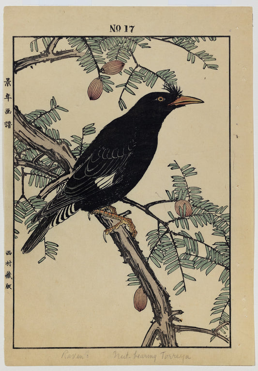 IMAO, Keinen (1845 -1924) Raven, No. 17 (Winter)