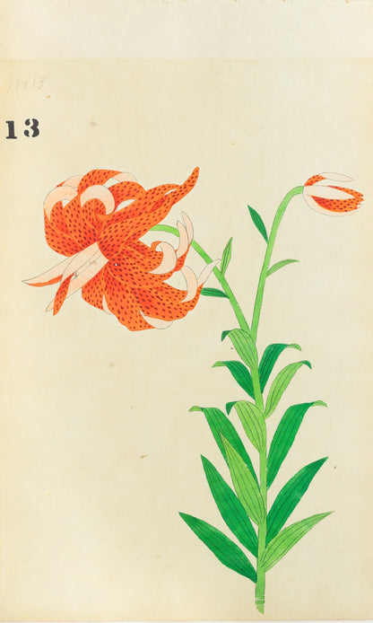 JAPANESE (Late 19th Century) - Lilies 14