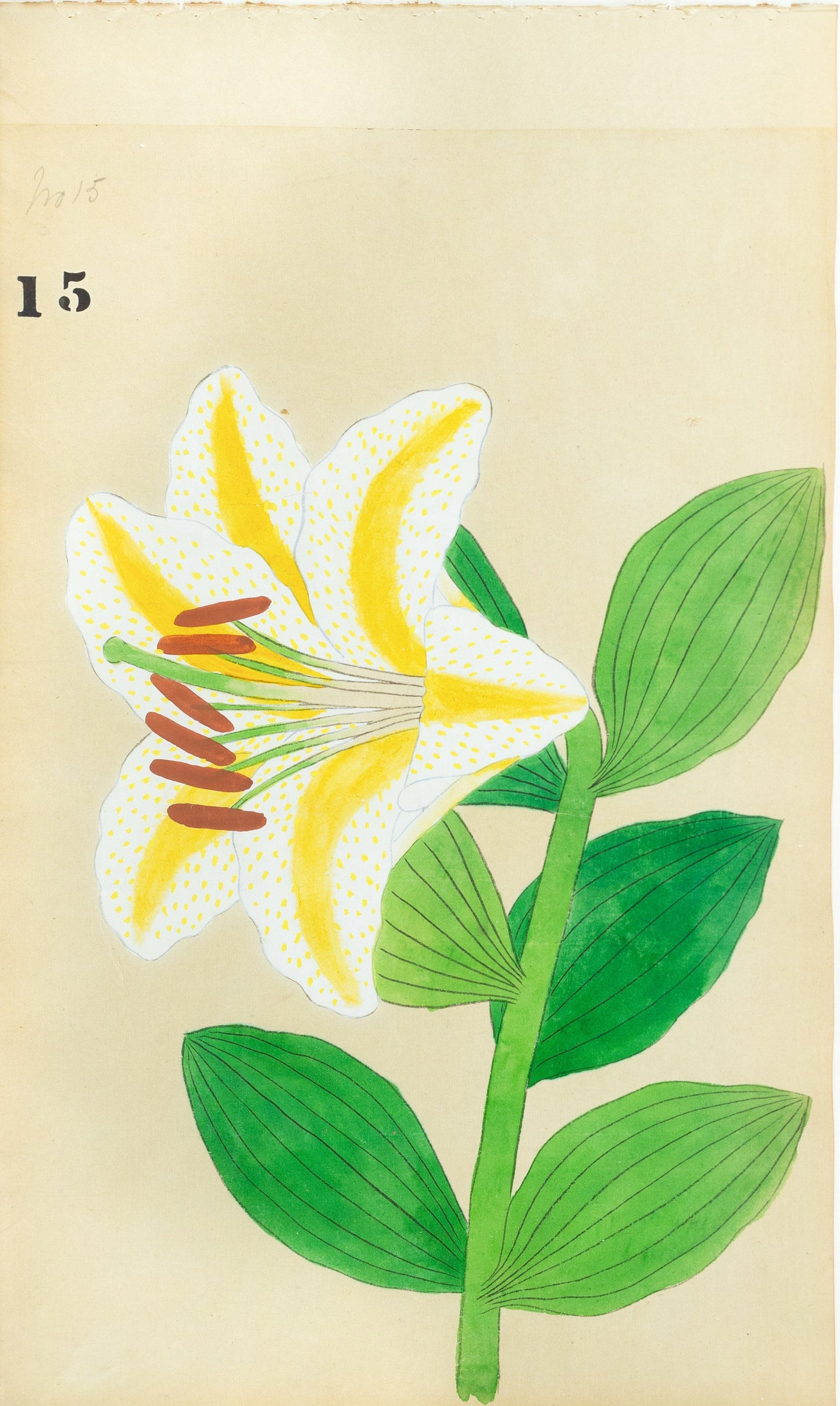 JAPANESE (Late 19th Century) - Lilies 15