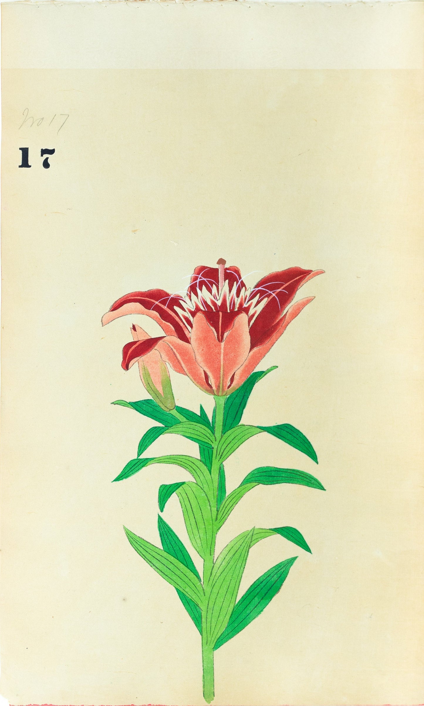 JAPANESE (Late 19th Century) - Lilies 17